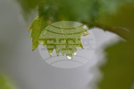 Исперих - дъждовно време