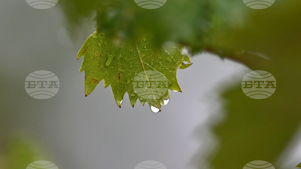 Исперих - дъждовно време