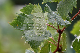 Исперих - дъждовно време