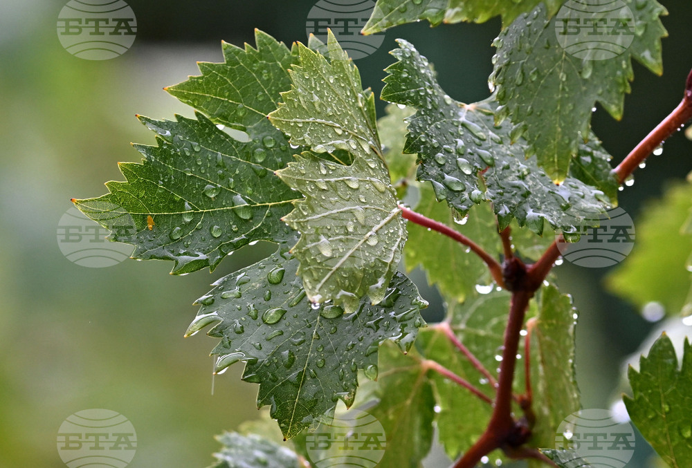 Исперих - дъждовно време