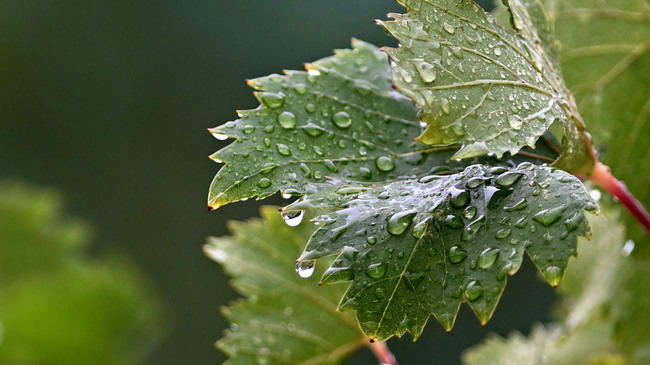 The Weather on May 6