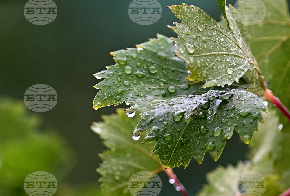 The Weather on May 6