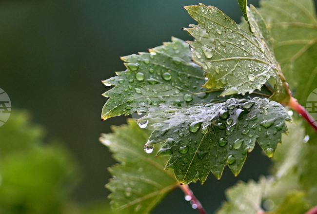 The Weather on May 6