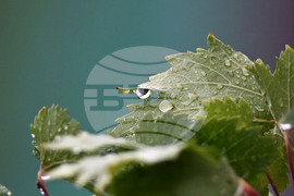 Исперих - дъждовно време