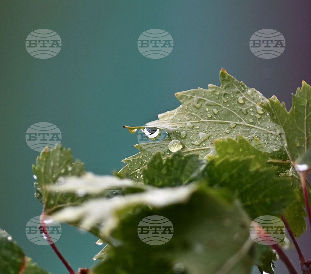 Исперих - дъждовно време