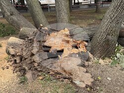 Снимка: Община Русе