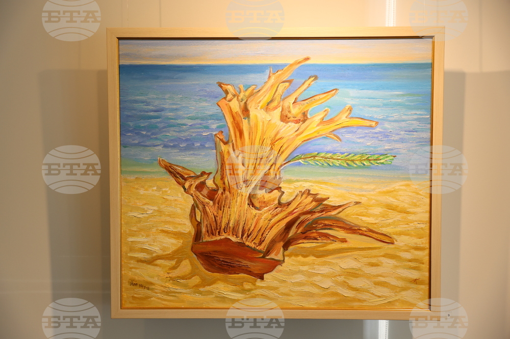 Калина Лютова - изложба