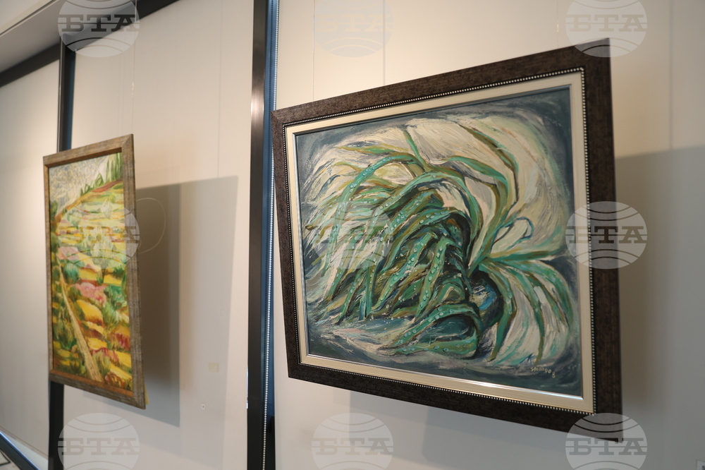 Калина Лютова - изложба