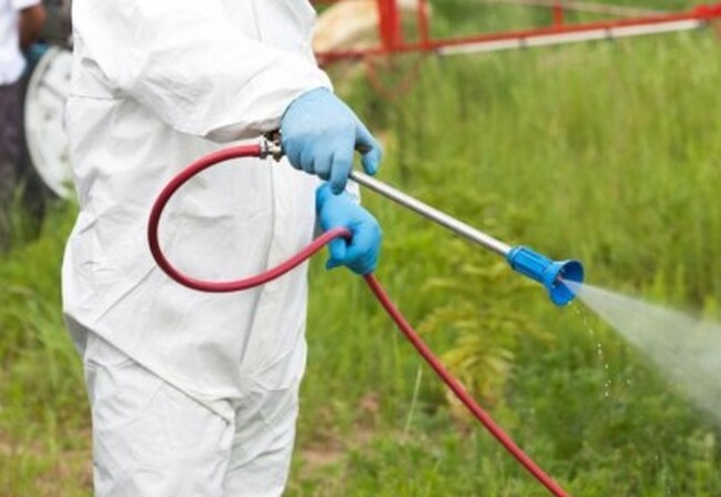 Община Стара Загора: На 2 и 3 септември ще се извърши пръскане срещу комари в Стара Загора