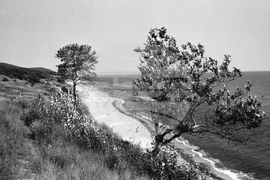 На почивка в село Шкорпиловци