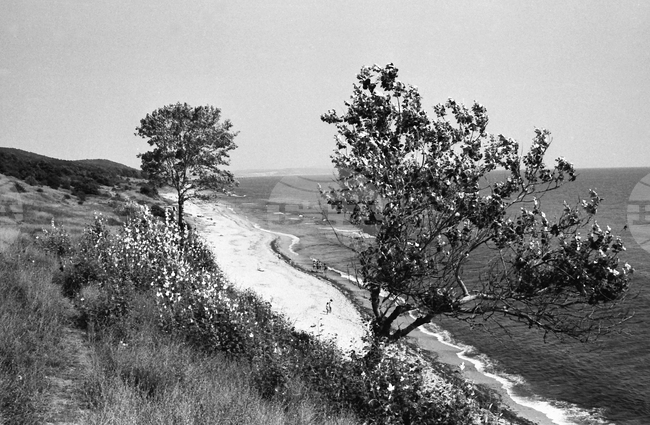 На почивка в село Шкорпиловци