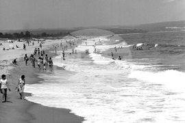 На почивка в село Шкорпиловци