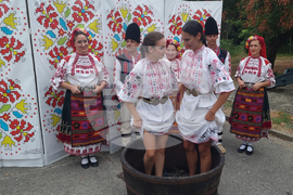 Плевен - Фестивал на виното - откриване