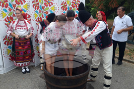 Плевен - Фестивал на виното - откриване