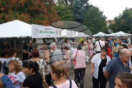 Плевен - Фестивал на виното - откриване