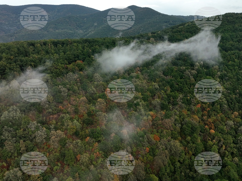Село Долни Пасарел - манастир „Свети Николай Мирликийски - Летни“ - изглед