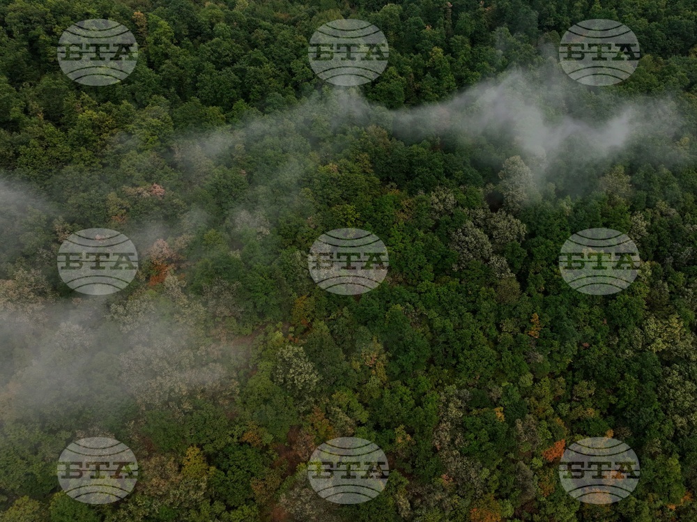 Село Долни Пасарел - манастир „Свети Николай Мирликийски - Летни“ - изглед