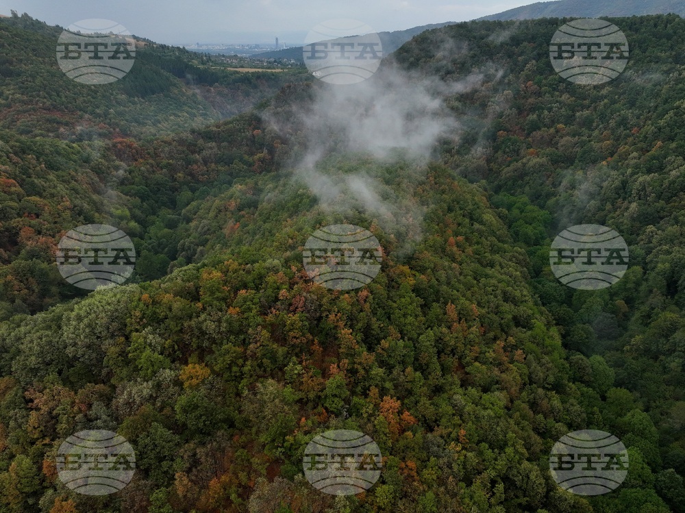 Село Долни Пасарел - манастир „Свети Николай Мирликийски - Летни“ - изглед