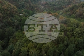 Село Долни Пасарел - манастир „Свети Николай Мирликийски - Летни“ - изглед