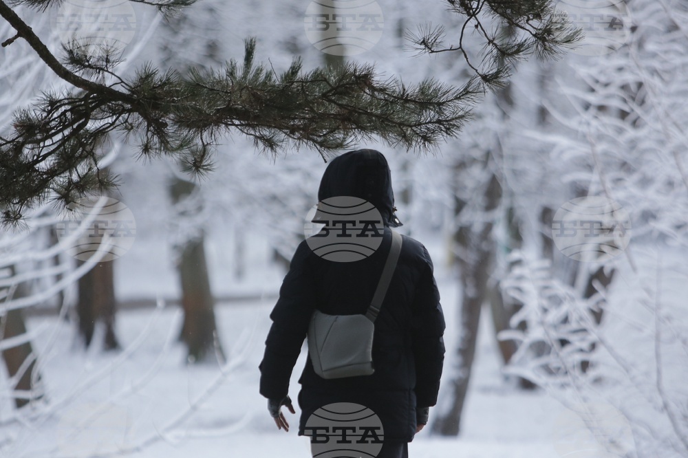Зима