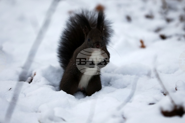 The Weather on December 21-22