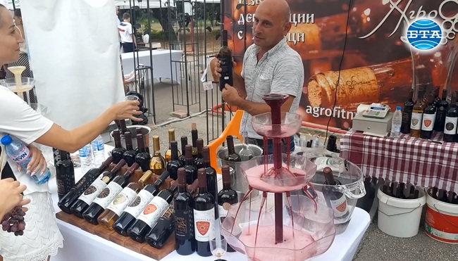 В Плевен изби и производители на кулинарни специалитети се представят във Фестивала на виното и фермерските деликатеси