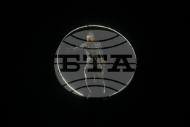 Армин ван Бюрен - концерт