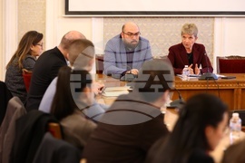 Парламент - Даниела Дашева - студентски съвети - среща