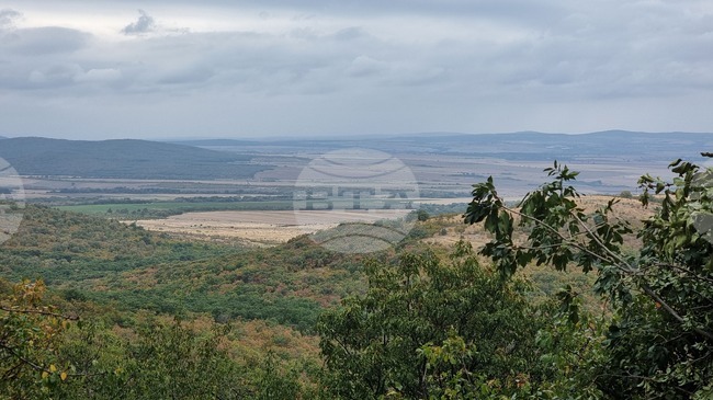 Предстои разширяване на Посетителския център в лесопарк Бакаджик и облагородяване на района около него