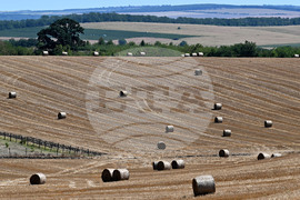 Лозница - природа - рулонни бали