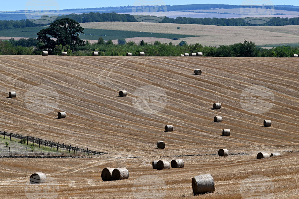 Лозница - природа - рулонни бали