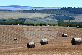 Лозница - природа - рулонни бали