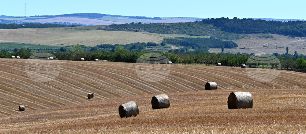 Лозница - природа - рулонни бали