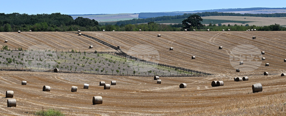Лозница - природа - рулонни бали