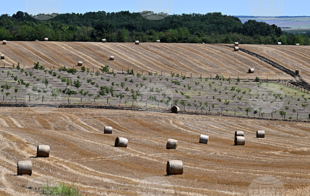 Лозница - природа - рулонни бали