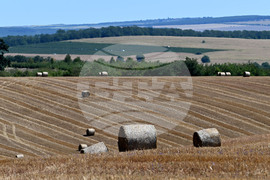 Лозница - природа - рулонни бали