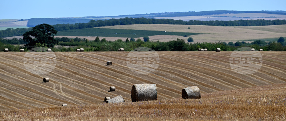 Лозница - природа - рулонни бали