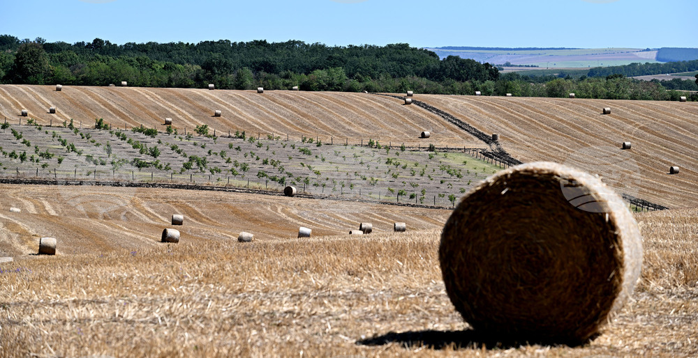 Лозница - природа - рулонни бали