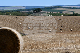 Лозница - природа - рулонни бали