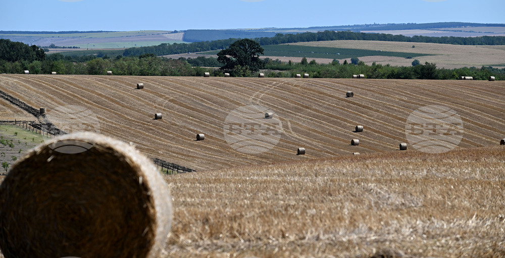 Лозница - природа - рулонни бали