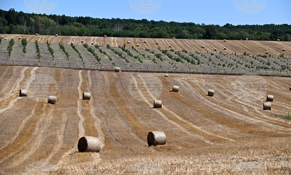 Лозница - природа - рулонни бали