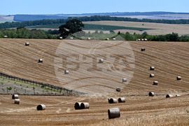 Лозница - природа - рулонни бали