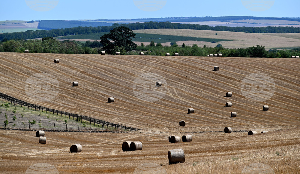 Лозница - природа - рулонни бали