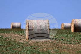 Лозница - природа - рулонни бали