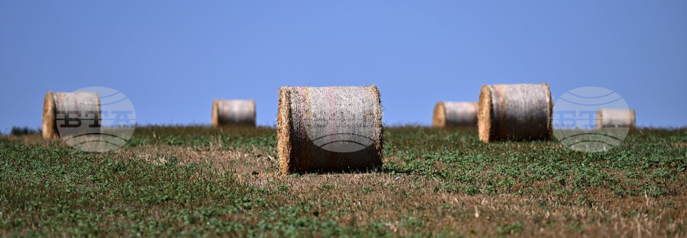 Лозница - природа - рулонни бали