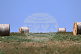 Лозница - природа - рулонни бали