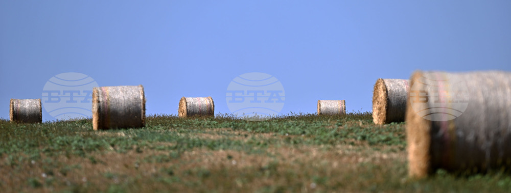 Лозница - природа - рулонни бали