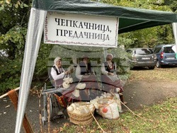 Снимка: Община Стара Загора