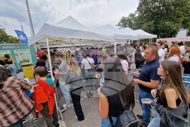 Концерт на Ед Шийран - фенове - пропускателен режим