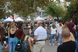 Концерт на Ед Шийран - фенове - пропускателен режим